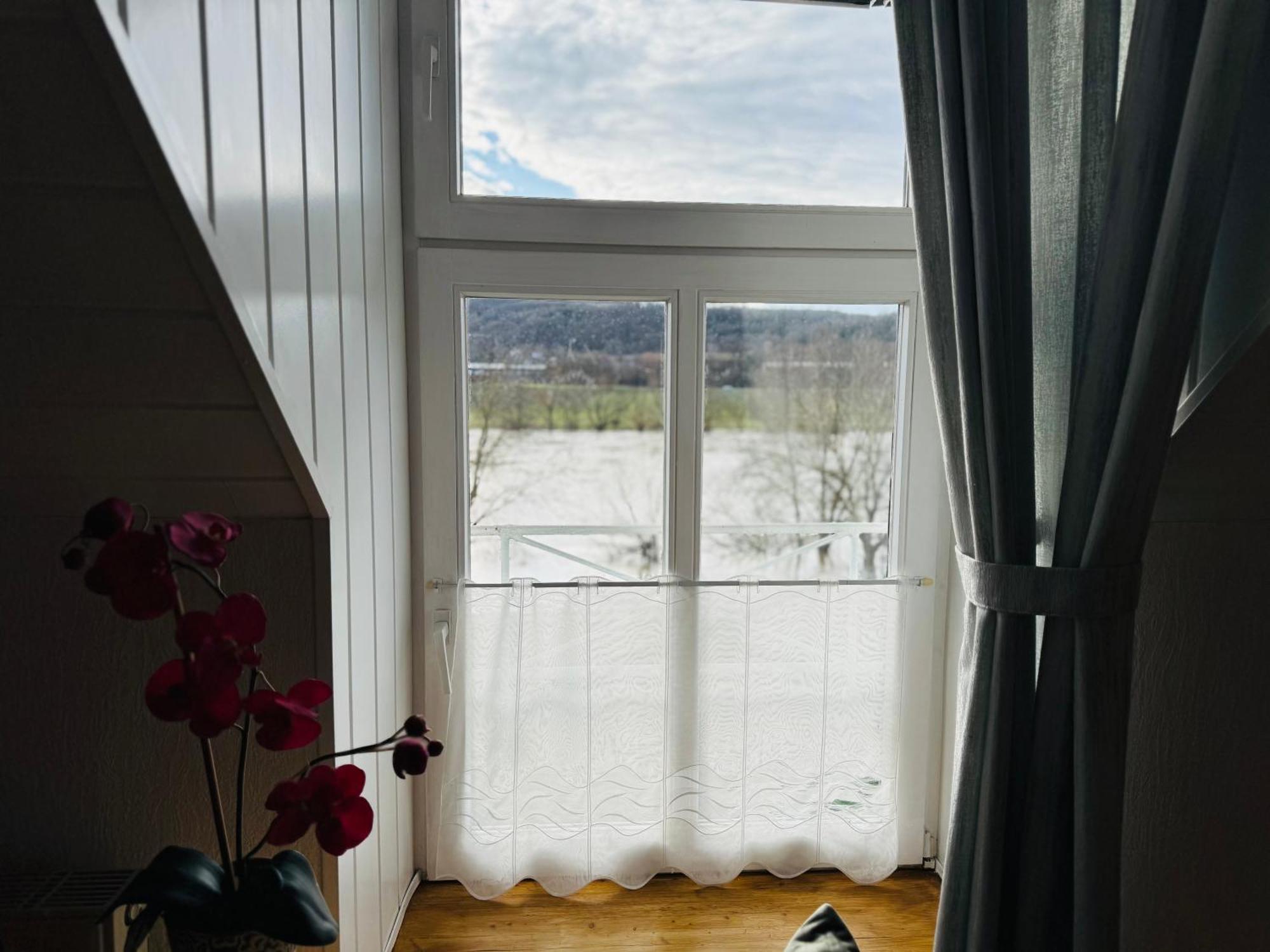 Apartment Historisches Winzerhaus Mit Moselblick